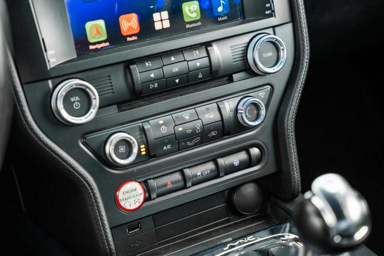 photo.jpg?1761339786