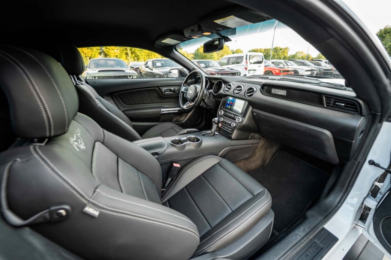 photo.jpg?1761339790