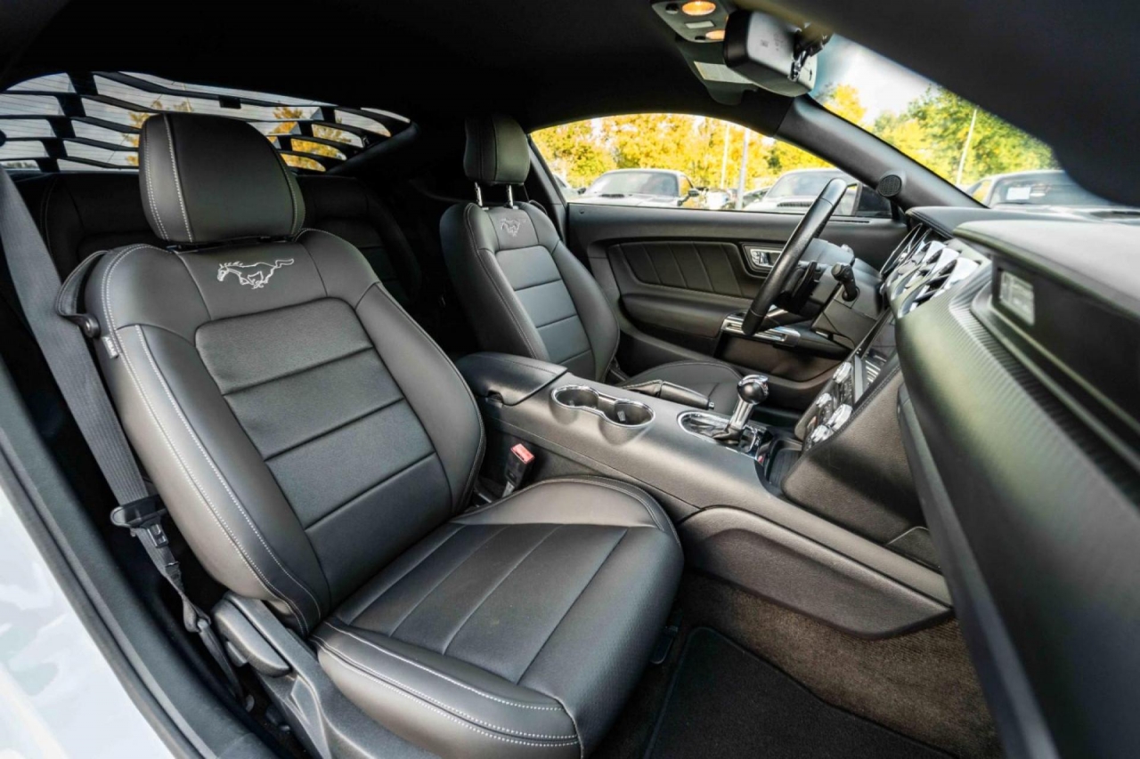 photo.jpg?1761339790