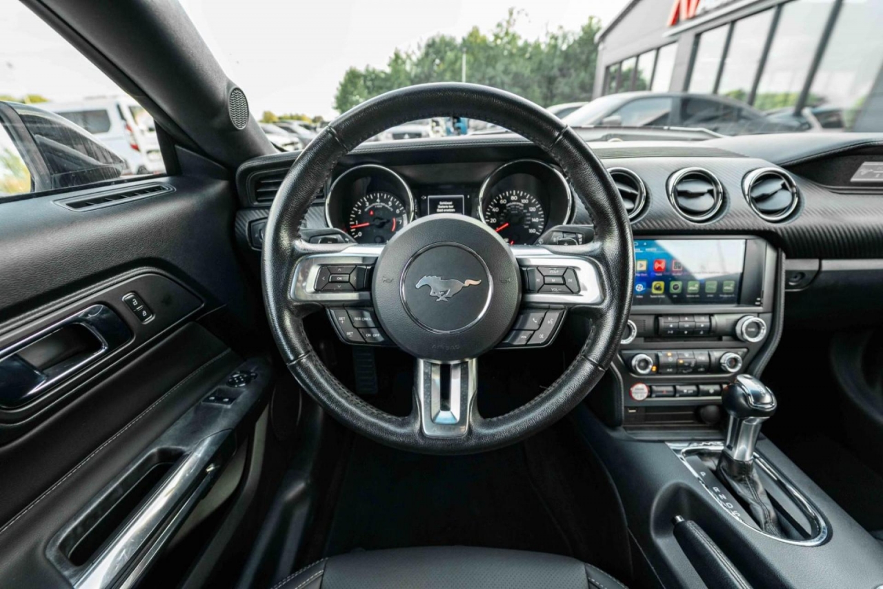 photo.jpg?1761339791