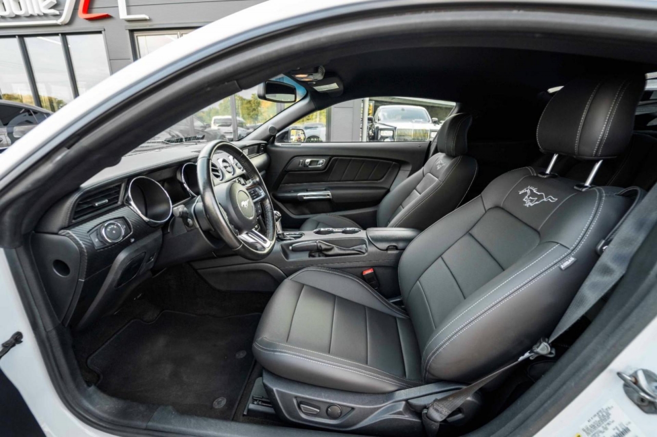 photo.jpg?1761339794