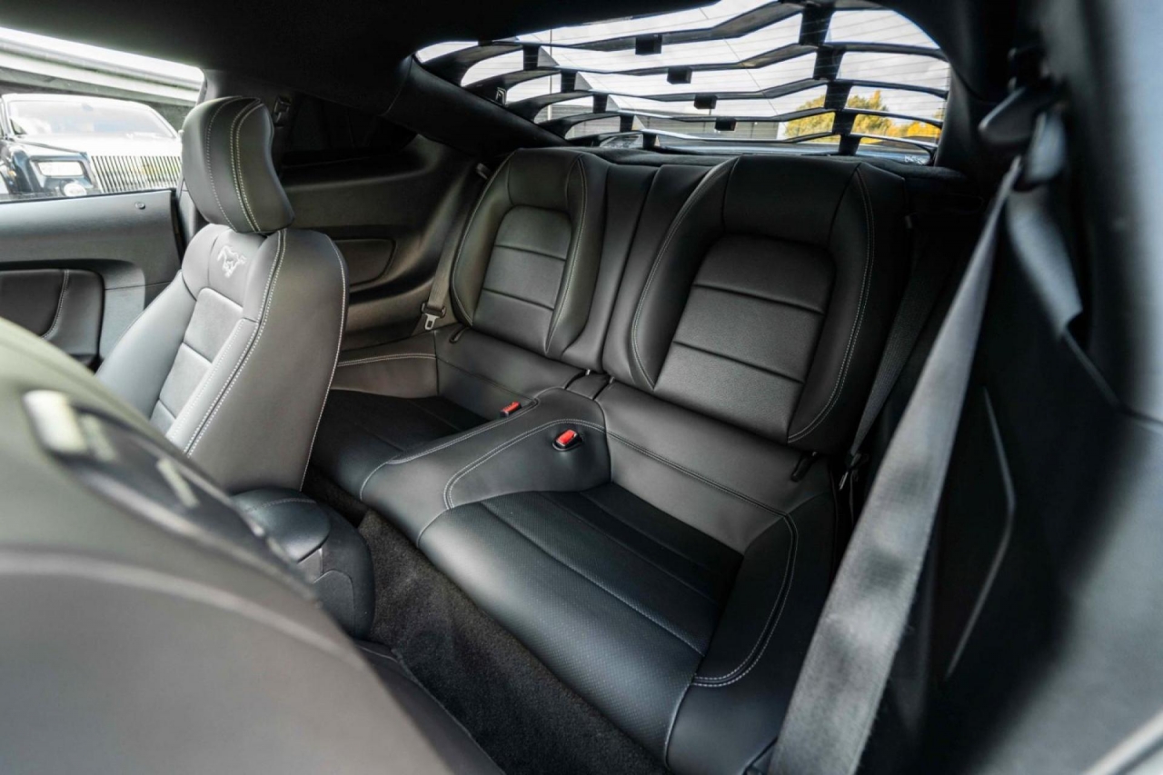 photo.jpg?1761339795