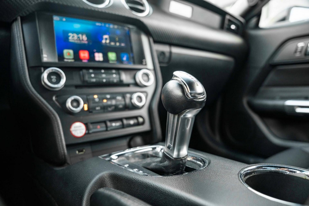 photo.jpg?1761339796