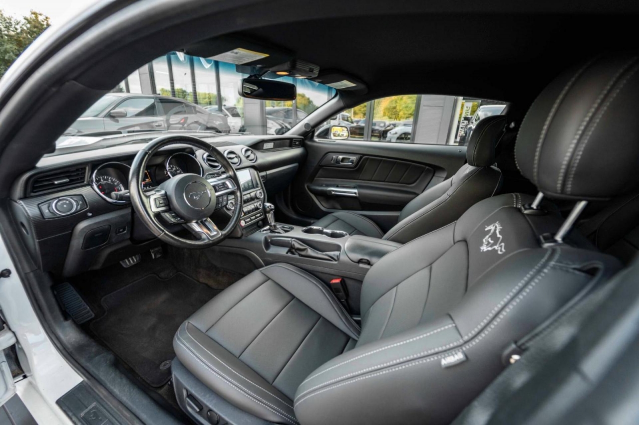 photo.jpg?1761339797