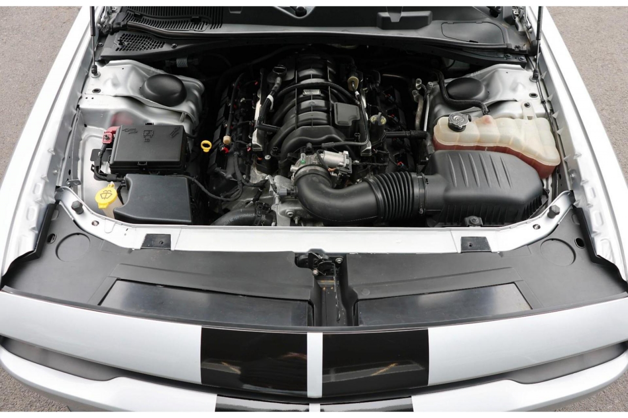 photo.jpg?1761575016