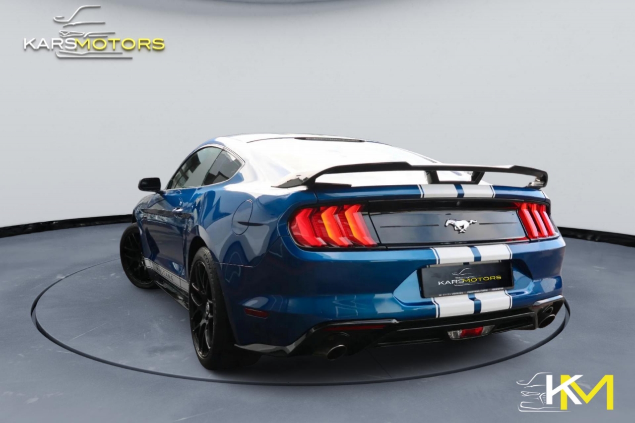 photo.jpg?1761575535