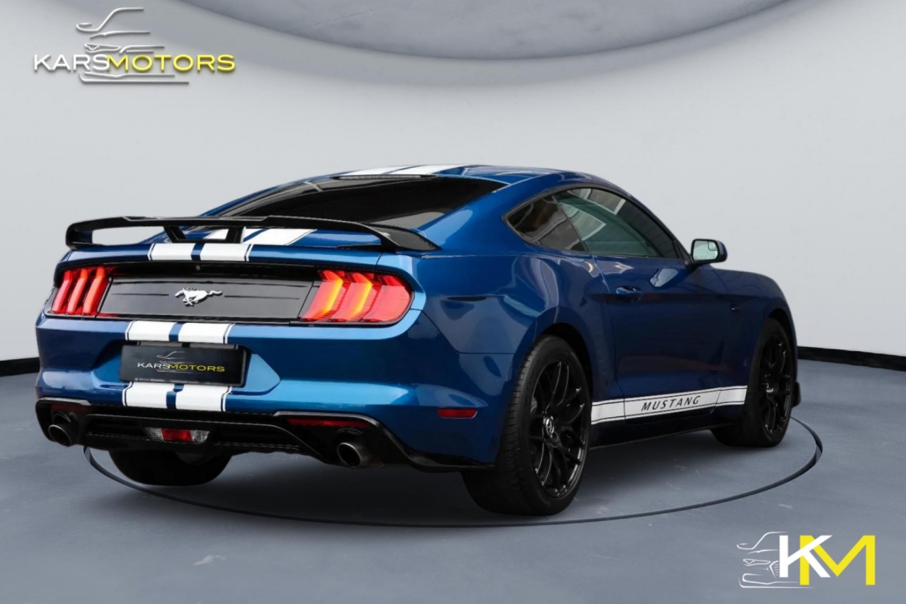 photo.jpg?1761575536