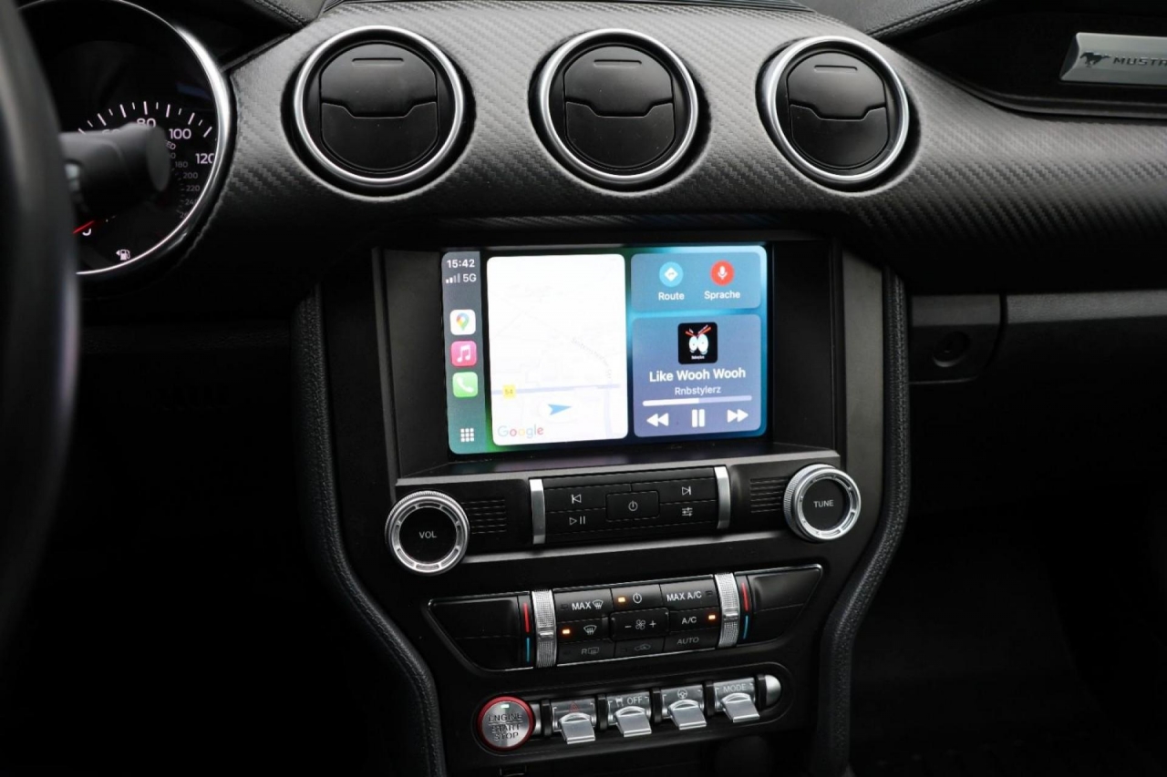 photo.jpg?1761575585