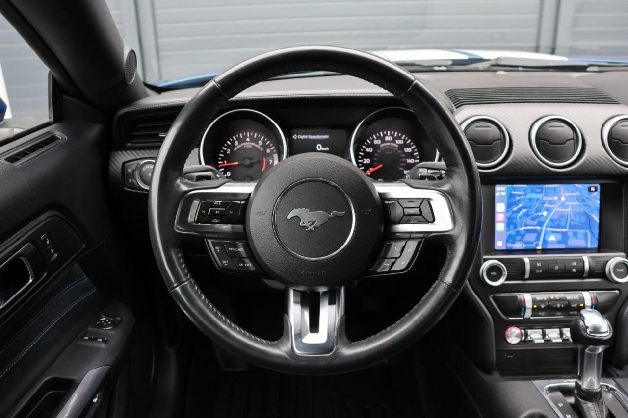 photo.jpg?1761575588