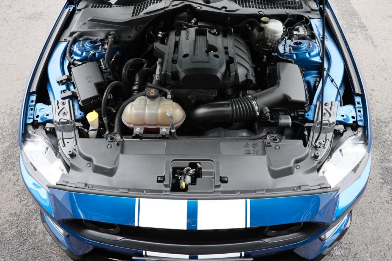 photo.jpg?1761575590