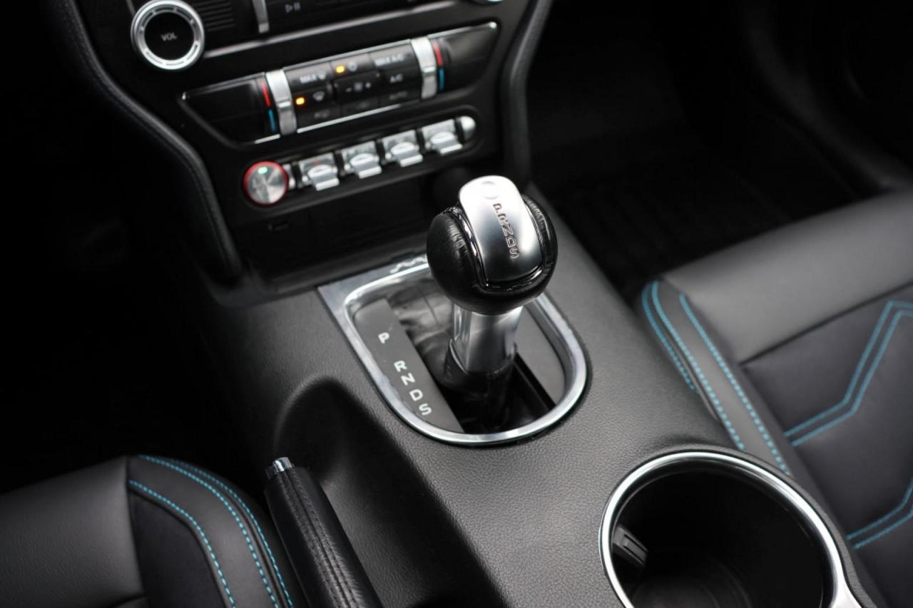 photo.jpg?1761575595