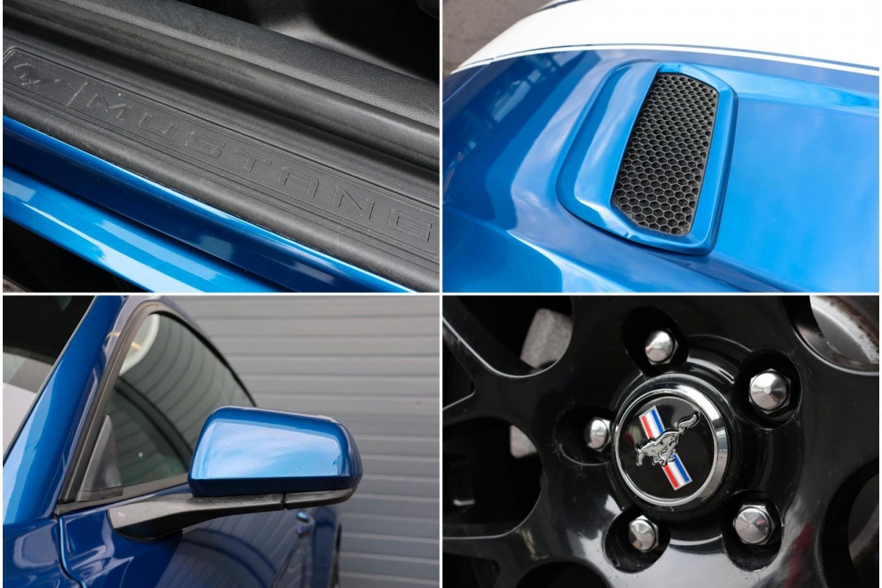 photo.jpg?1761575596