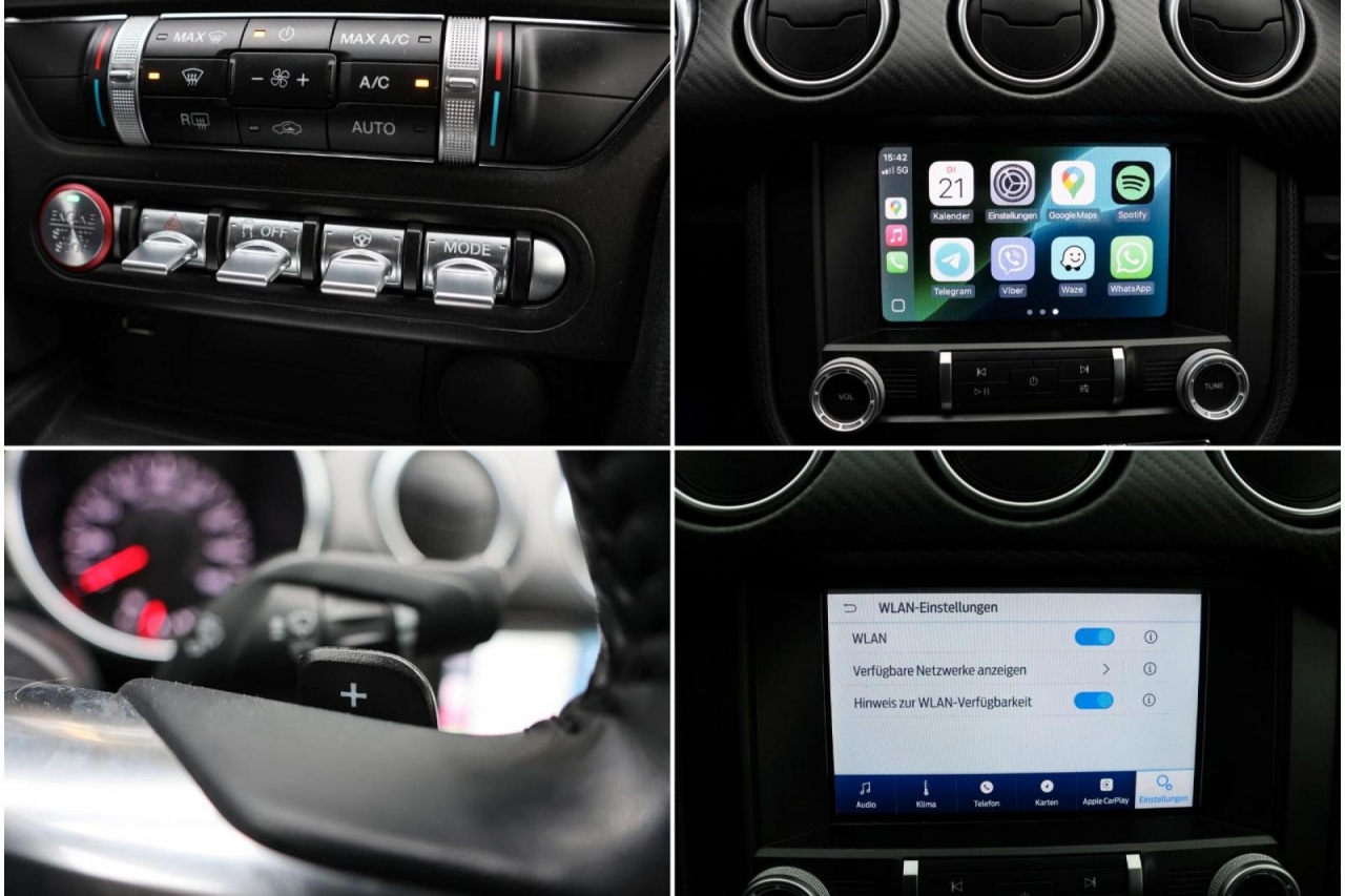 photo.jpg?1761575598