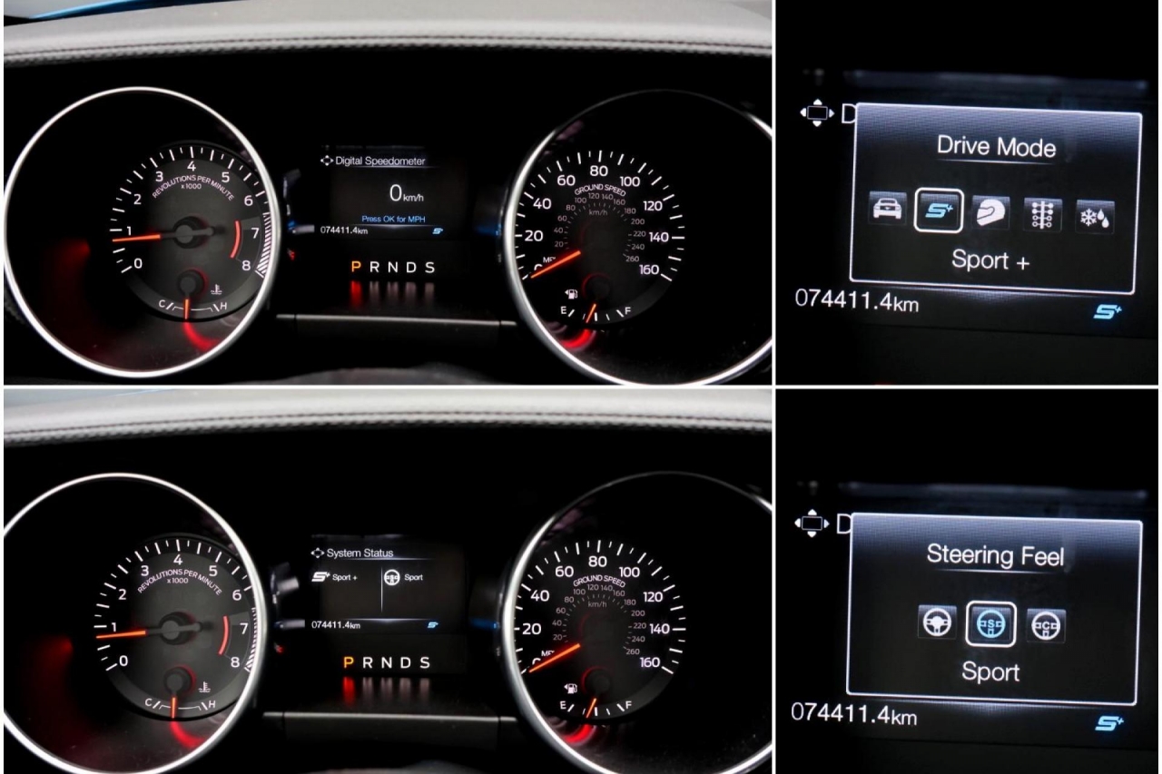 photo.jpg?1761575600