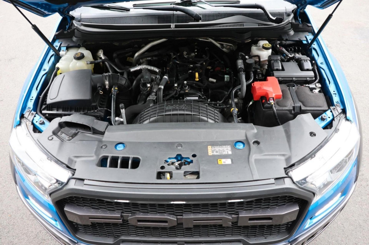 photo.jpg?1761575815