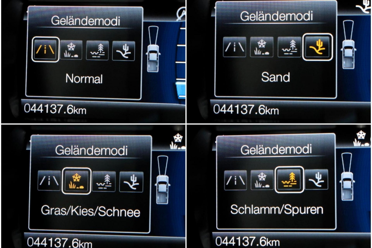 photo.jpg?1761575827