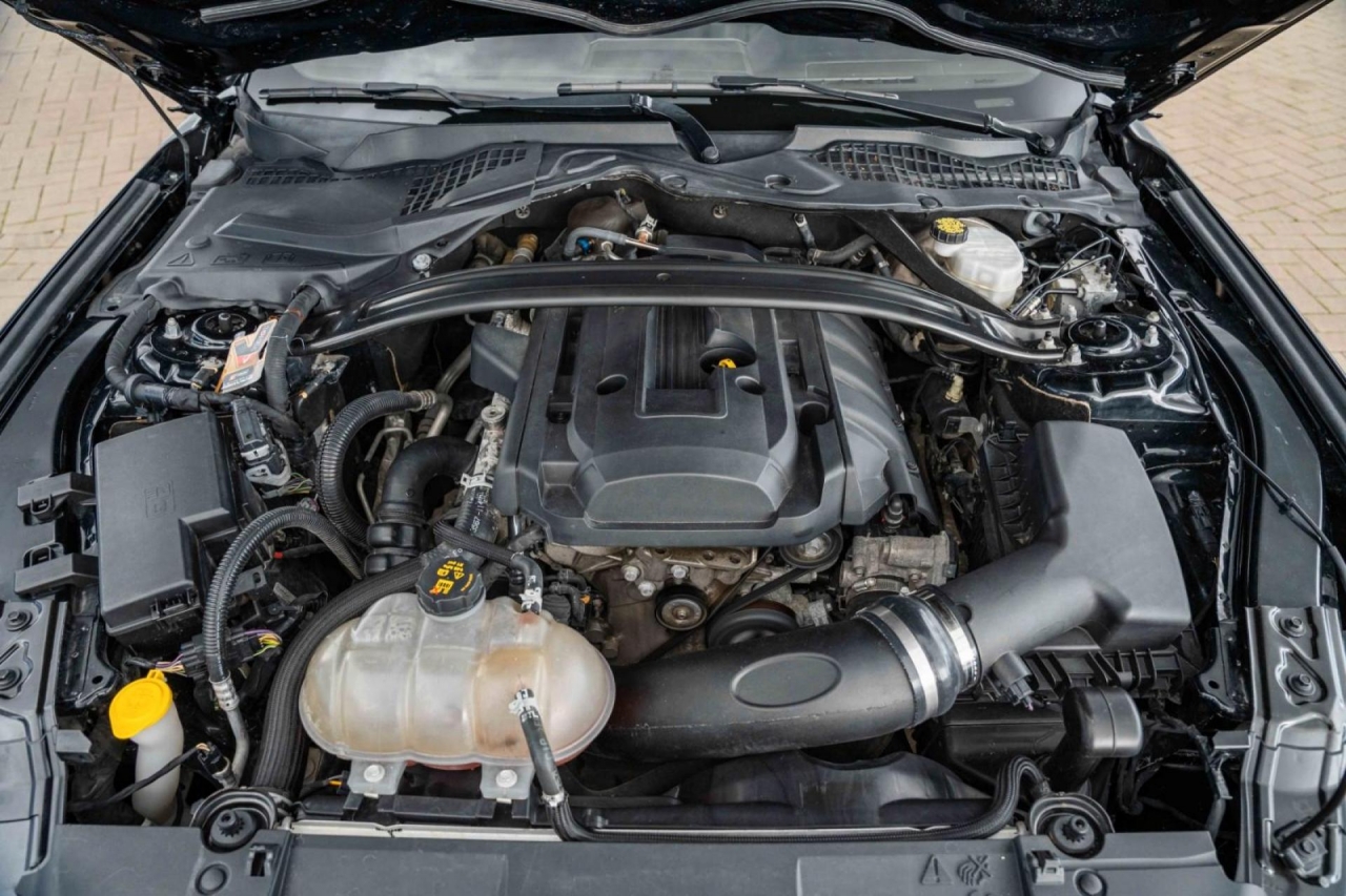 photo.jpg?1761576674