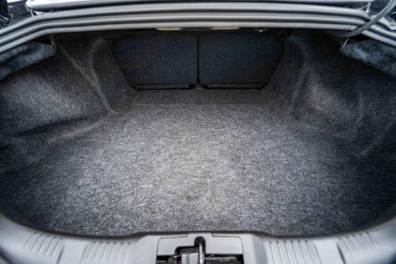 photo.jpg?1761576675