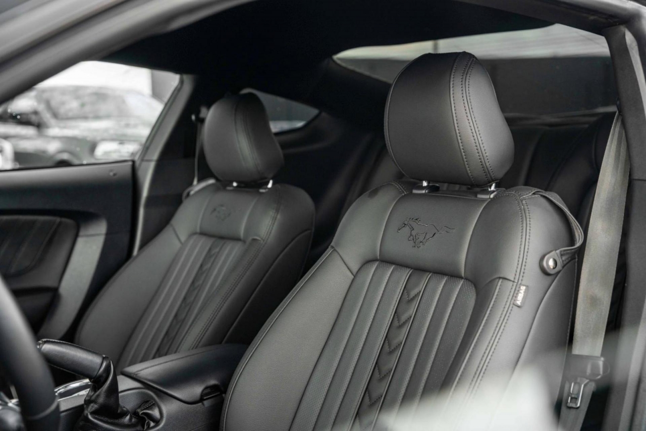 photo.jpg?1761576677