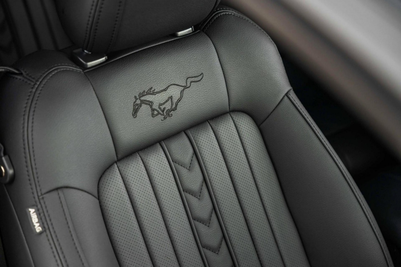 photo.jpg?1761576681