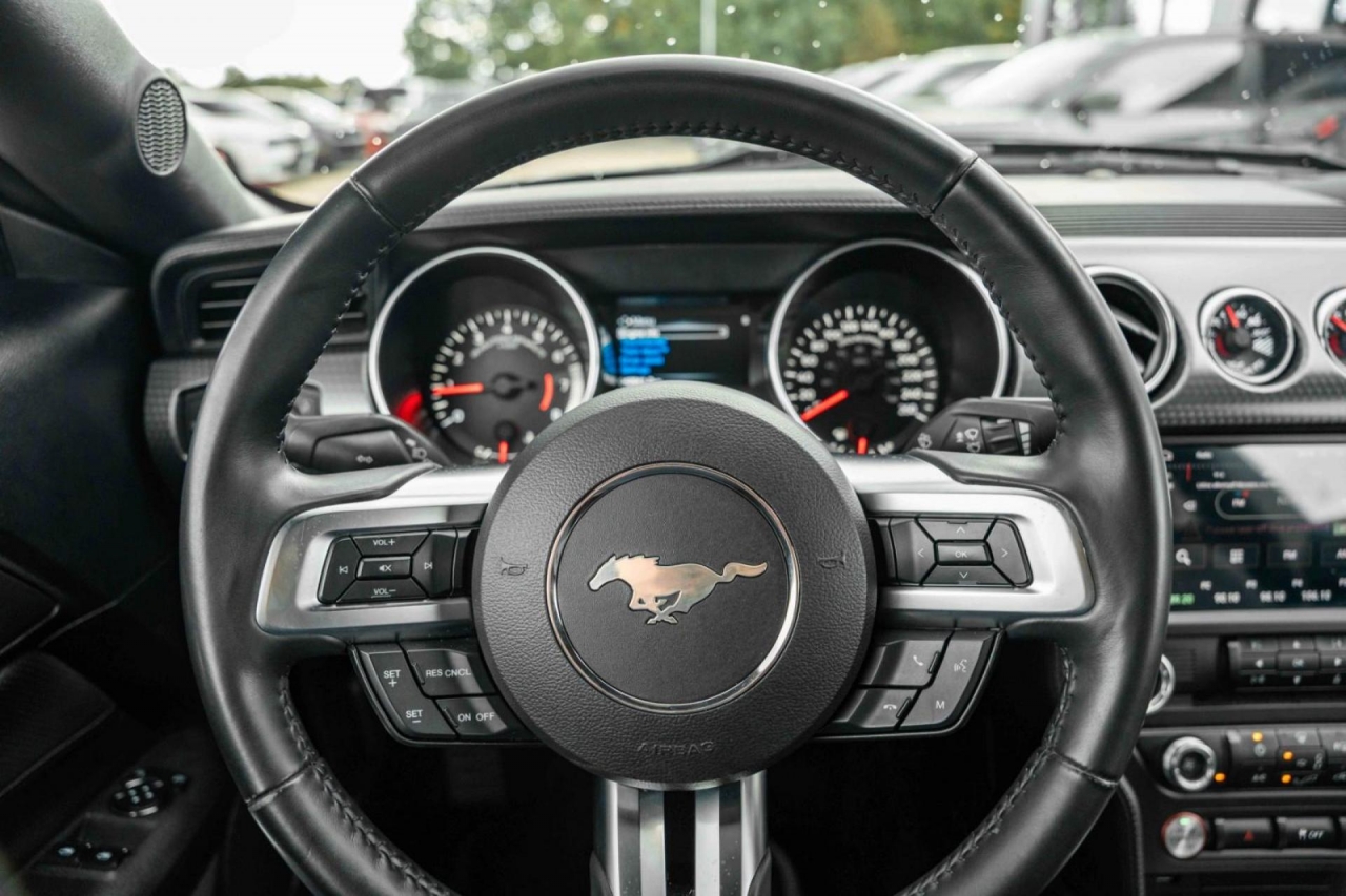 photo.jpg?1761576682