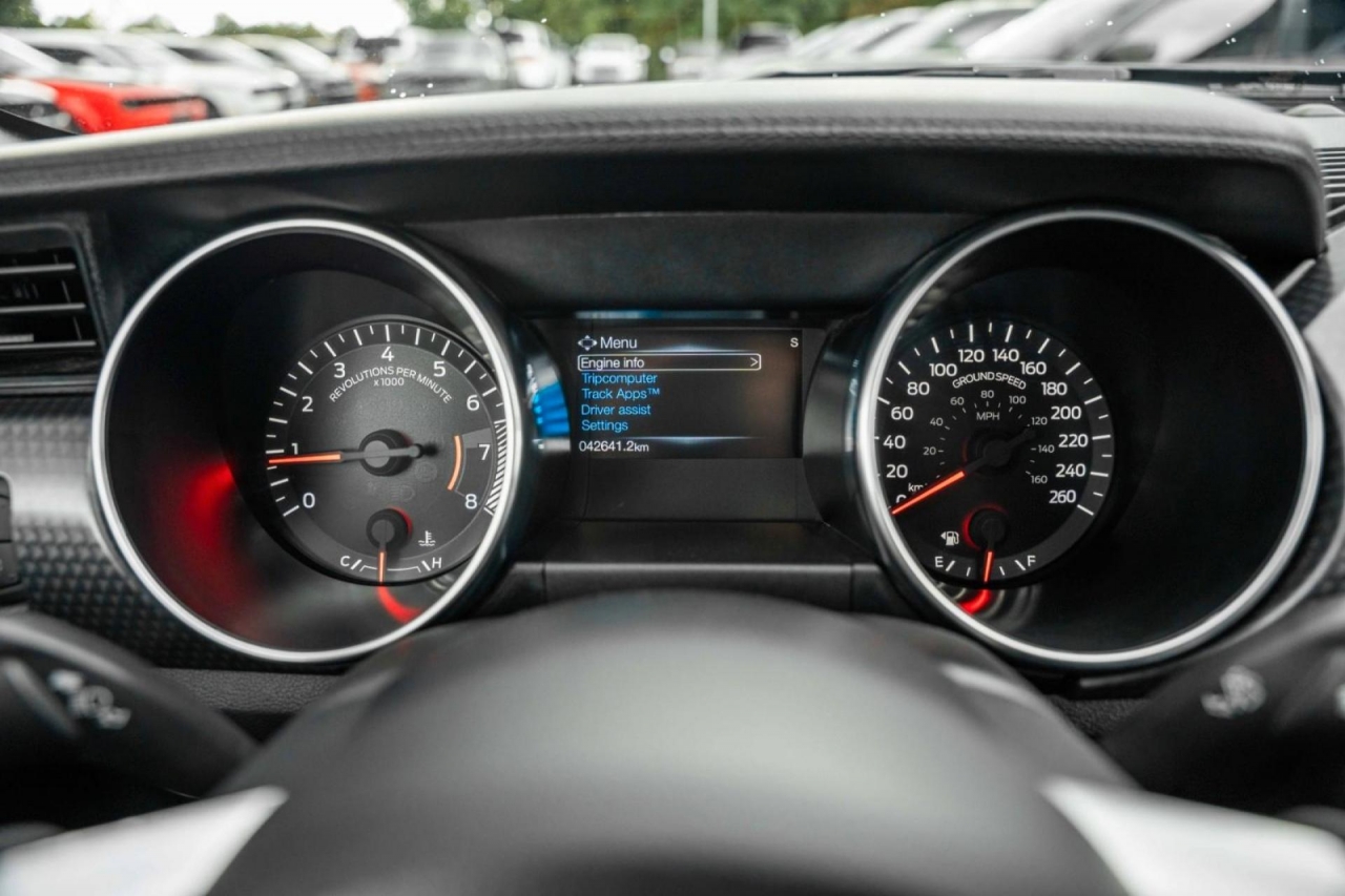 photo.jpg?1761576684