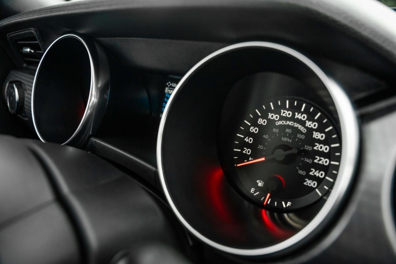 photo.jpg?1761576686