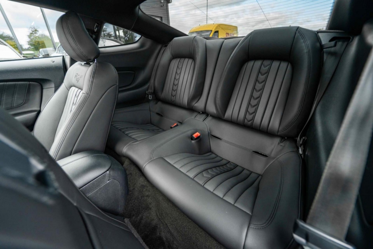 photo.jpg?1761576690