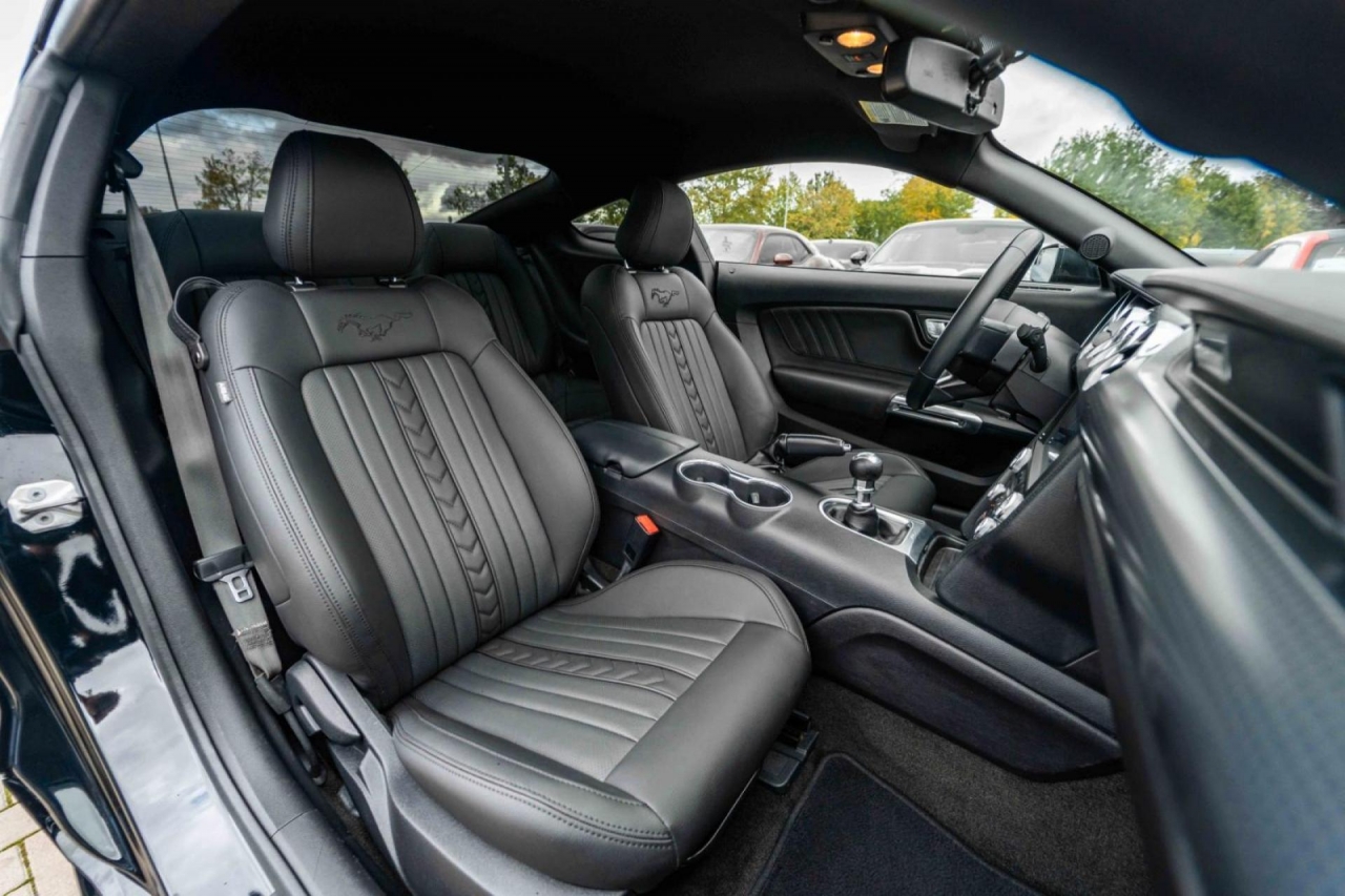 photo.jpg?1761576691