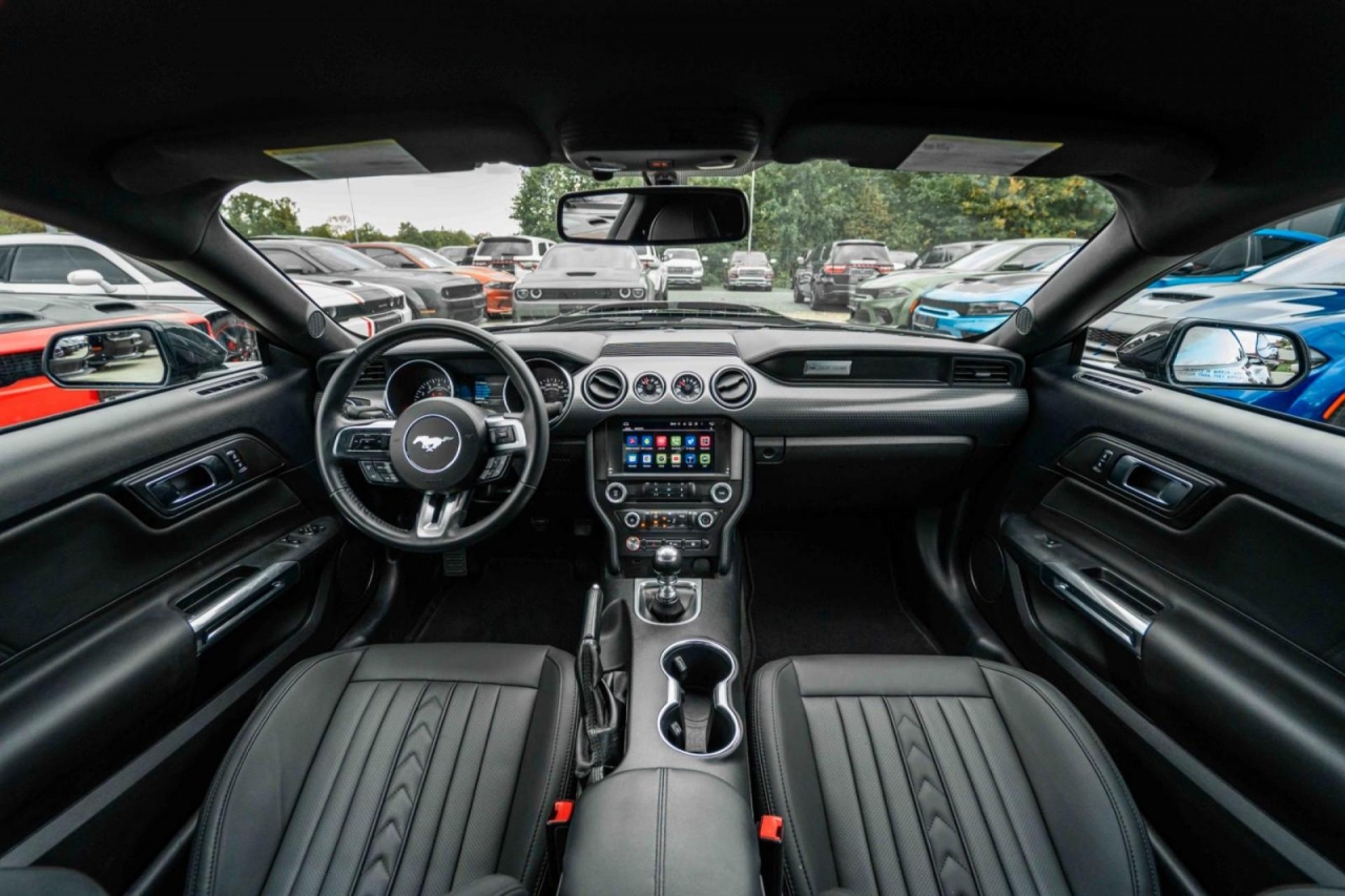 photo.jpg?1761576691