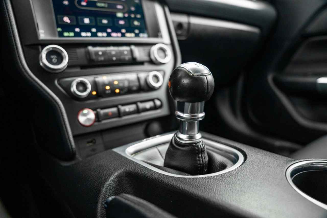 photo.jpg?1761576700