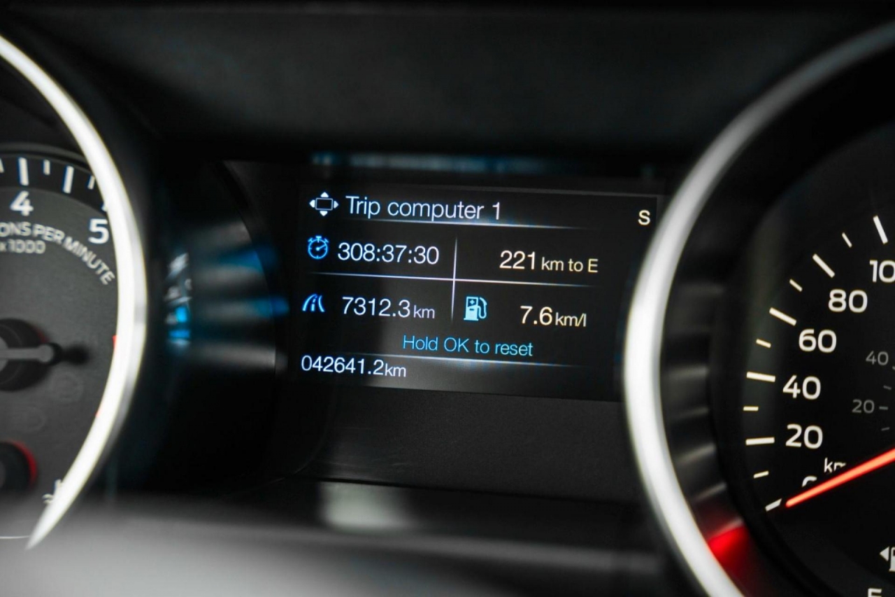 photo.jpg?1761576703