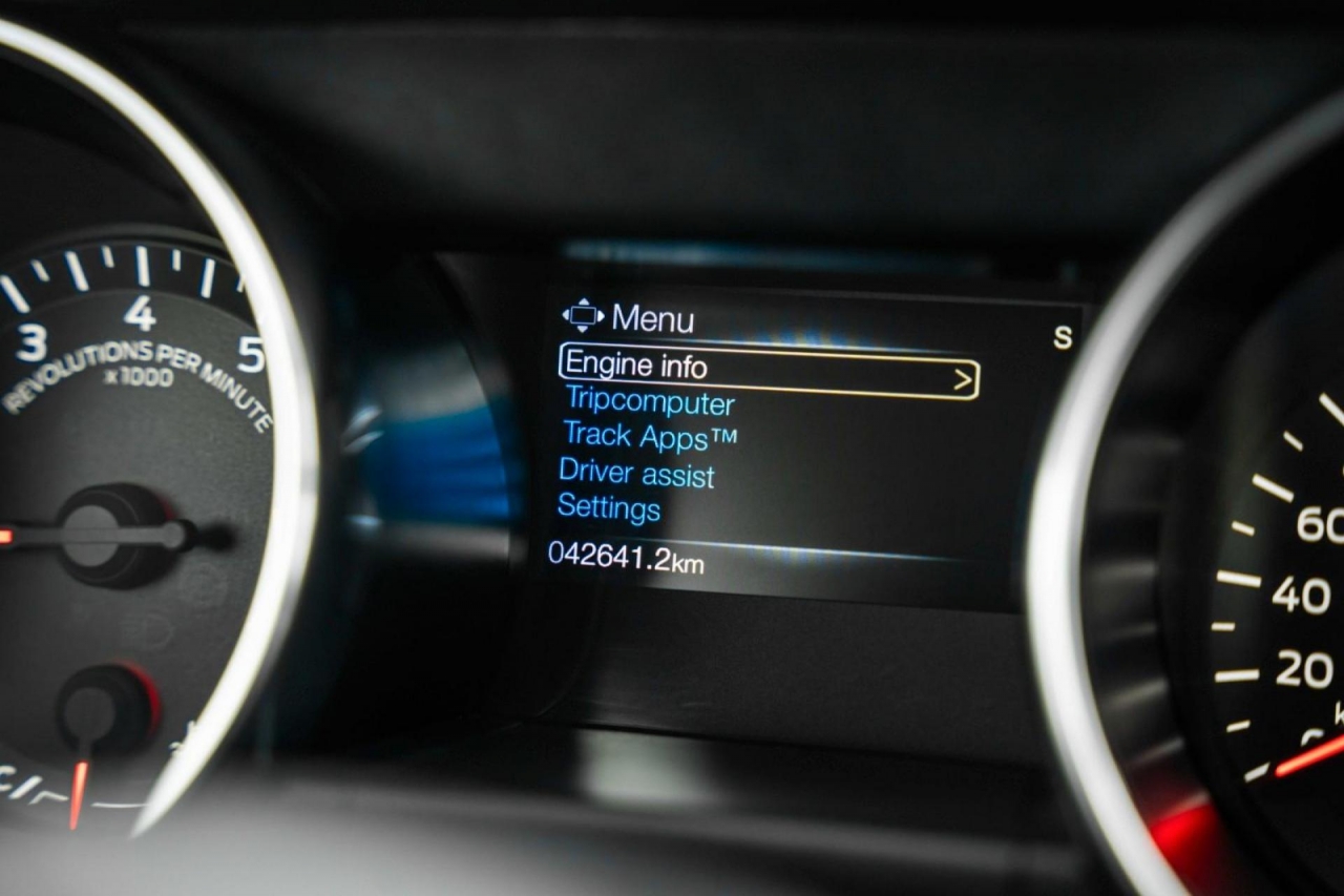 photo.jpg?1761576704