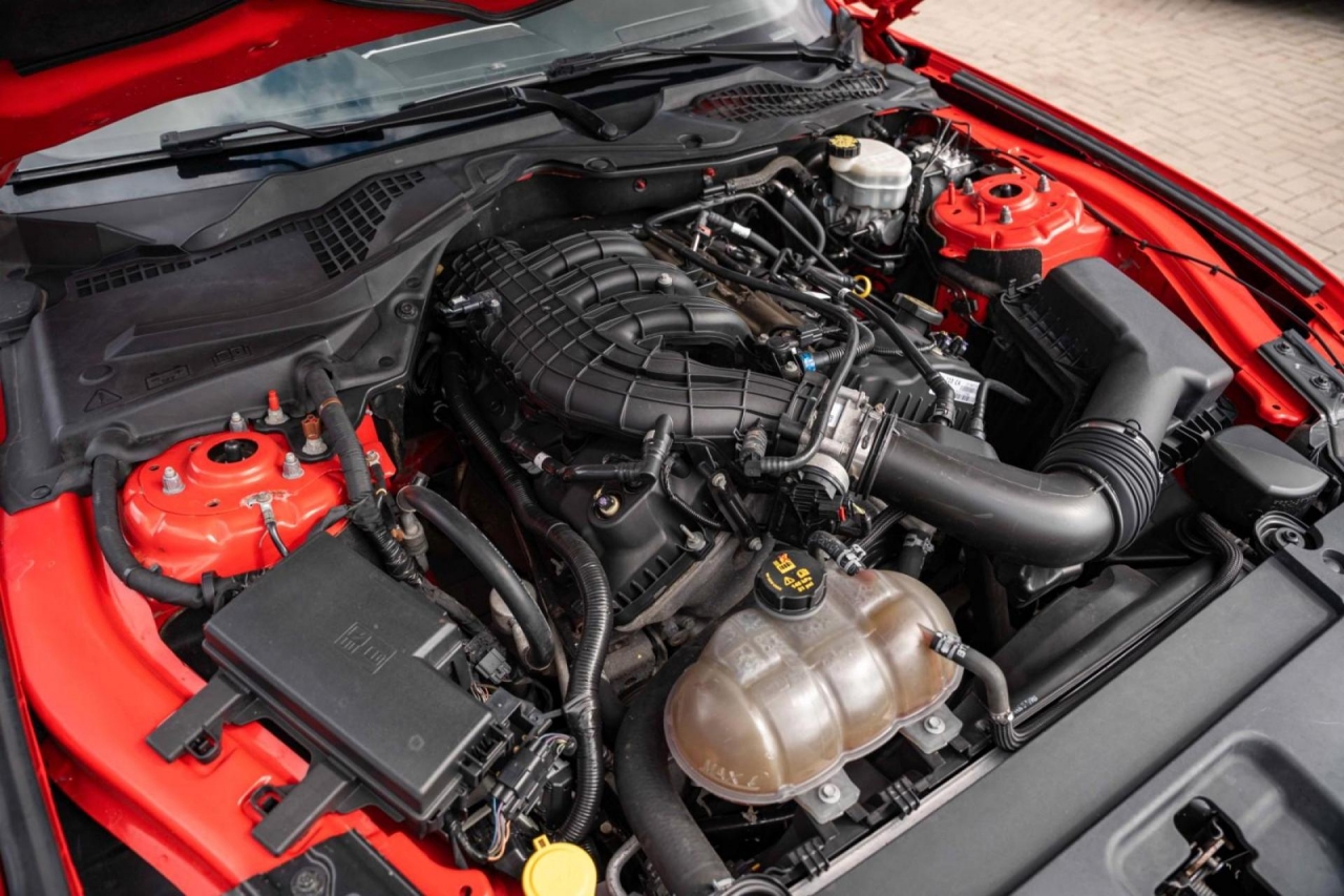 photo.jpg?1761576781