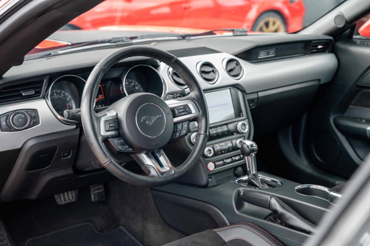 photo.jpg?1761576782