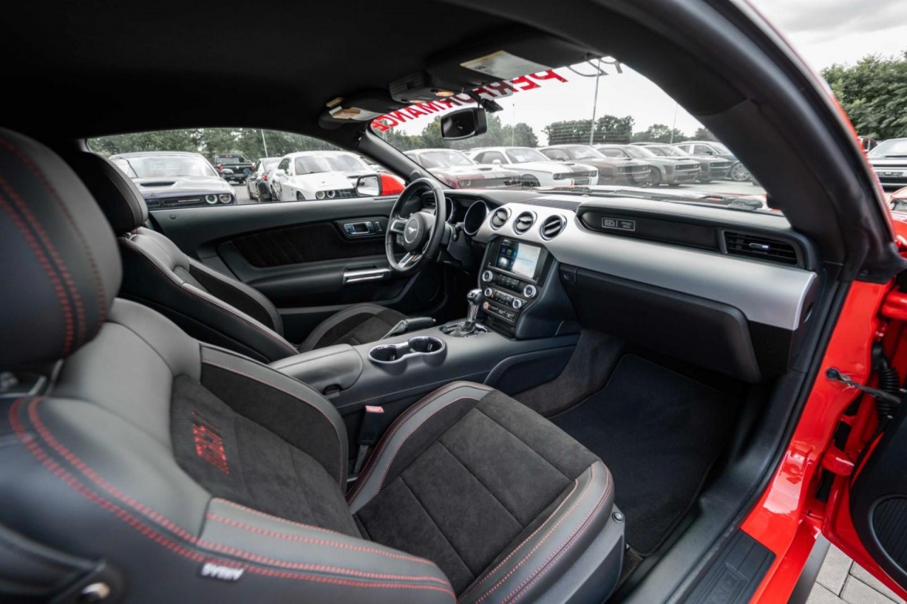 photo.jpg?1761576785