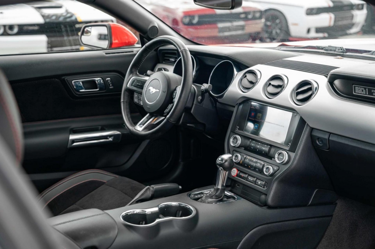 photo.jpg?1761576785