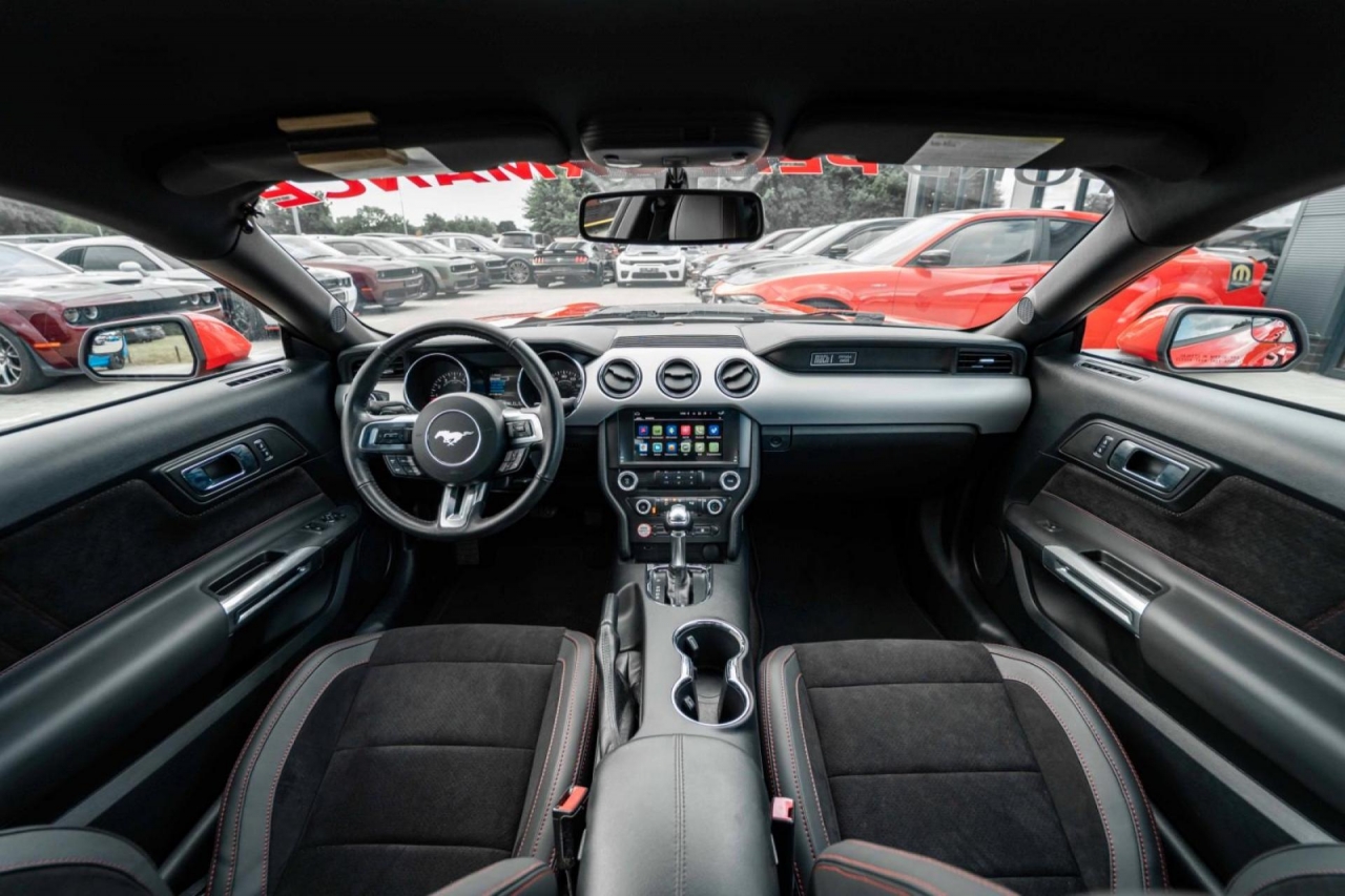 photo.jpg?1761576791