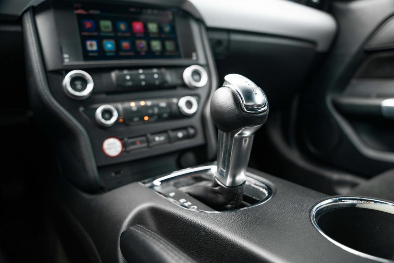 photo.jpg?1761576792