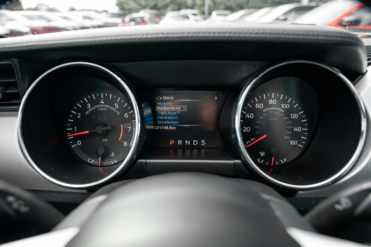 photo.jpg?1761576793