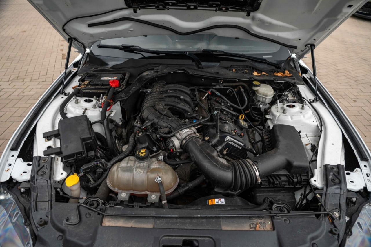 photo.jpg?1761576883