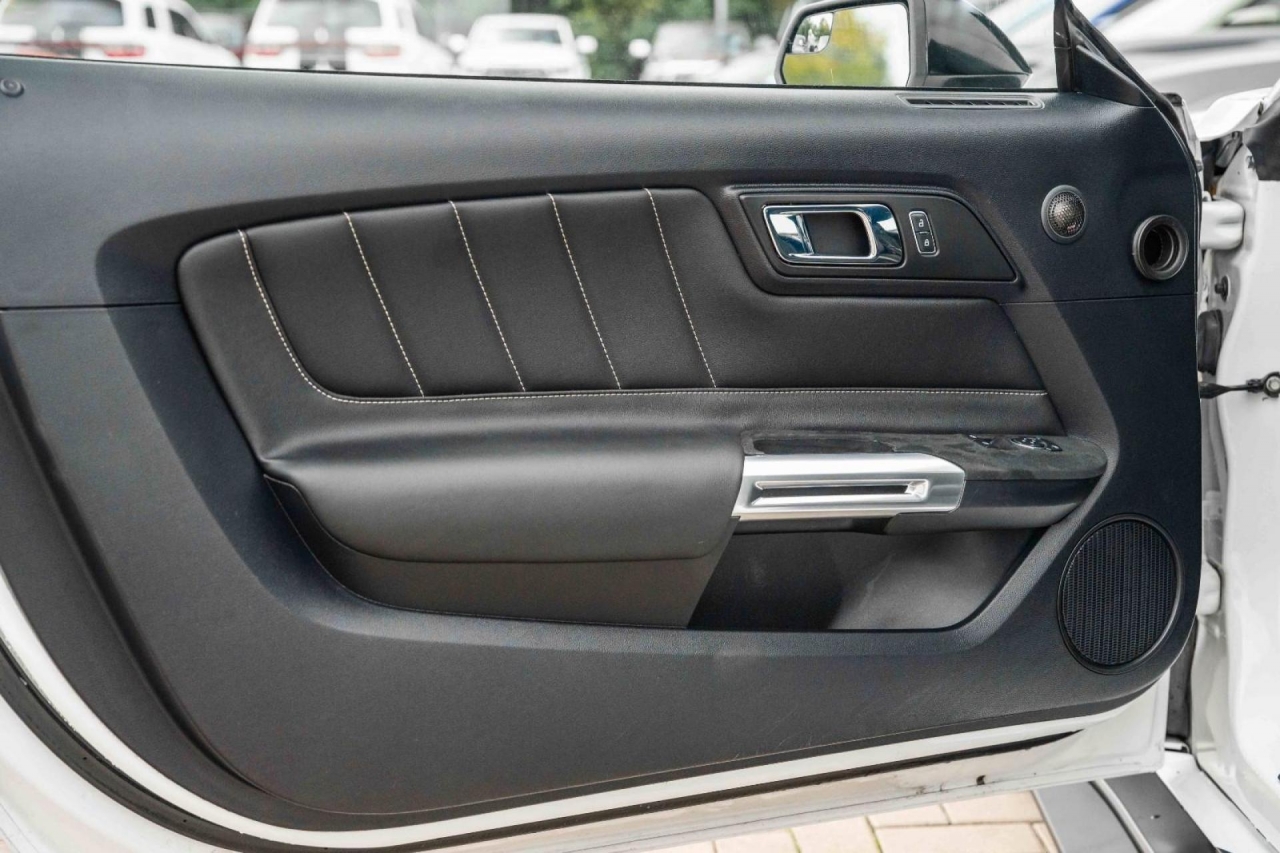 photo.jpg?1761576884