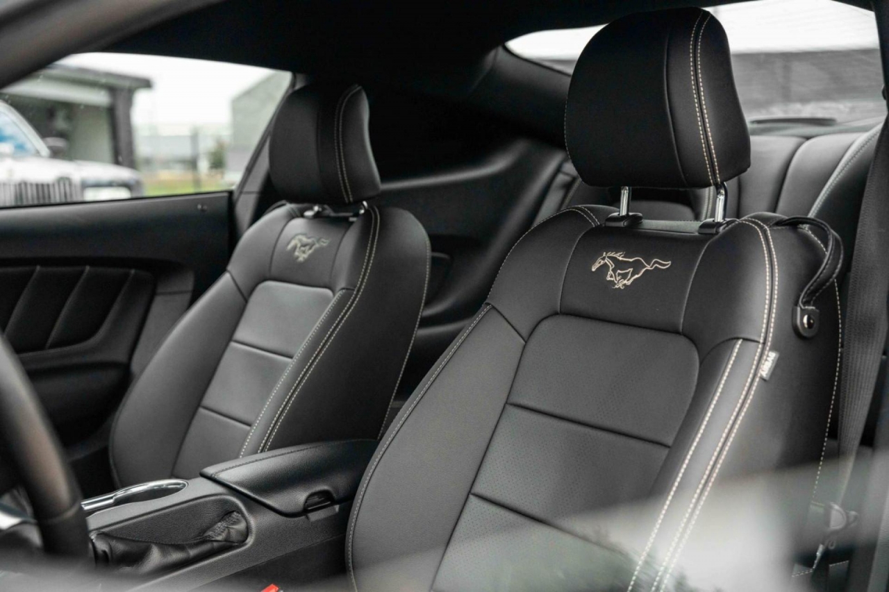 photo.jpg?1761576885