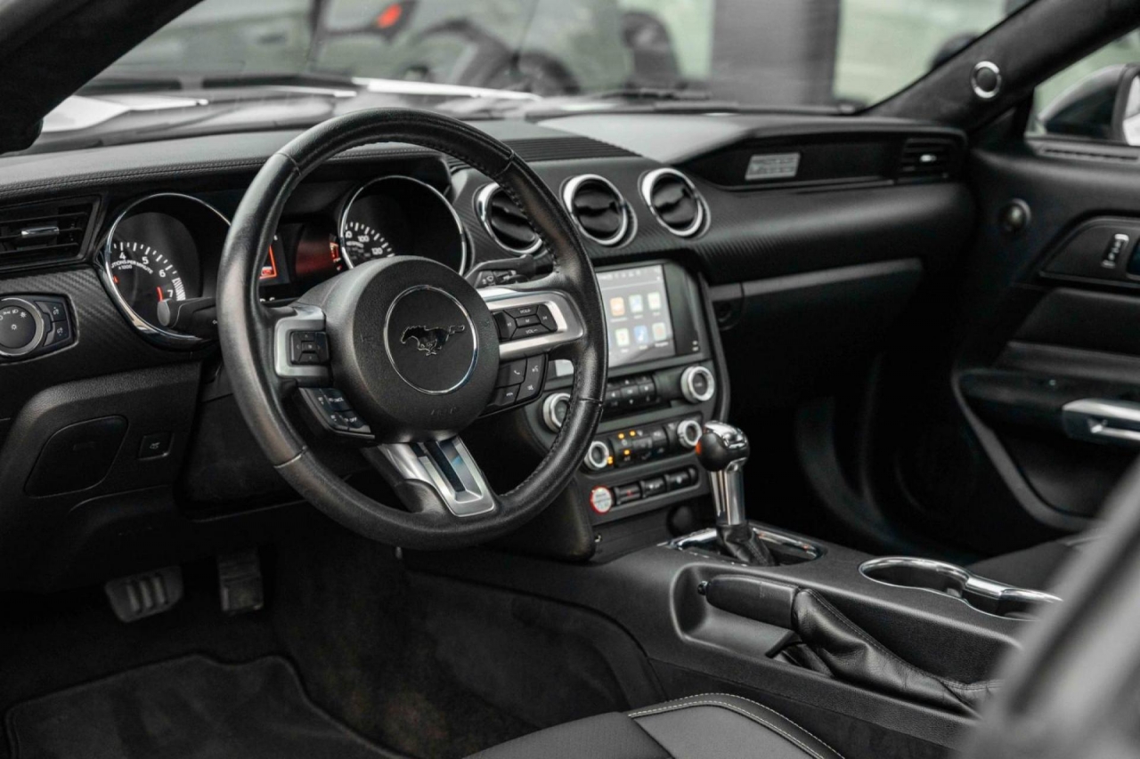 photo.jpg?1761576885