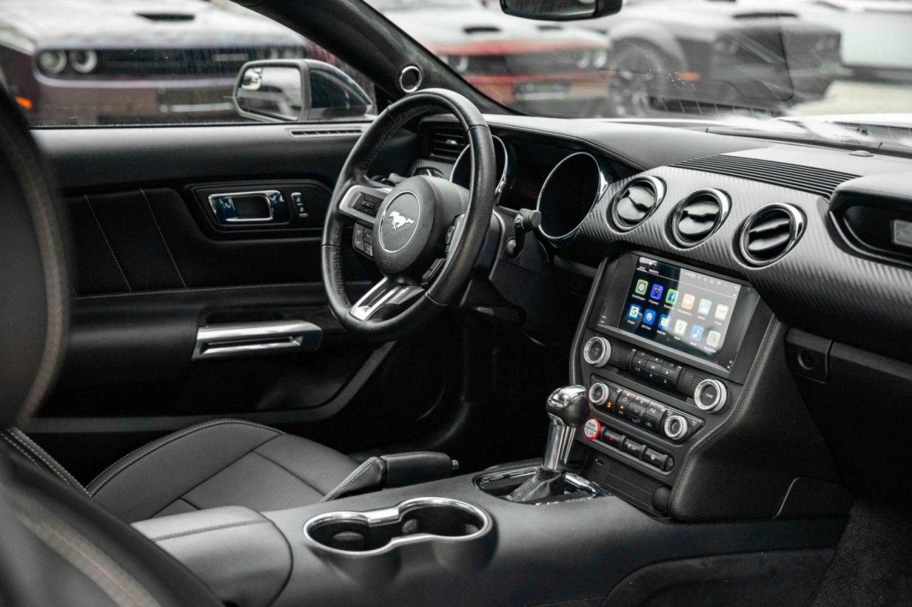 photo.jpg?1761576886