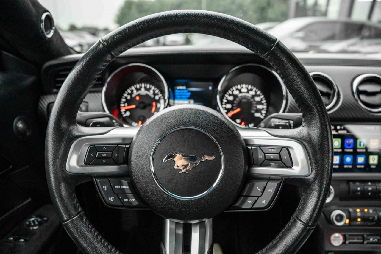 photo.jpg?1761576888