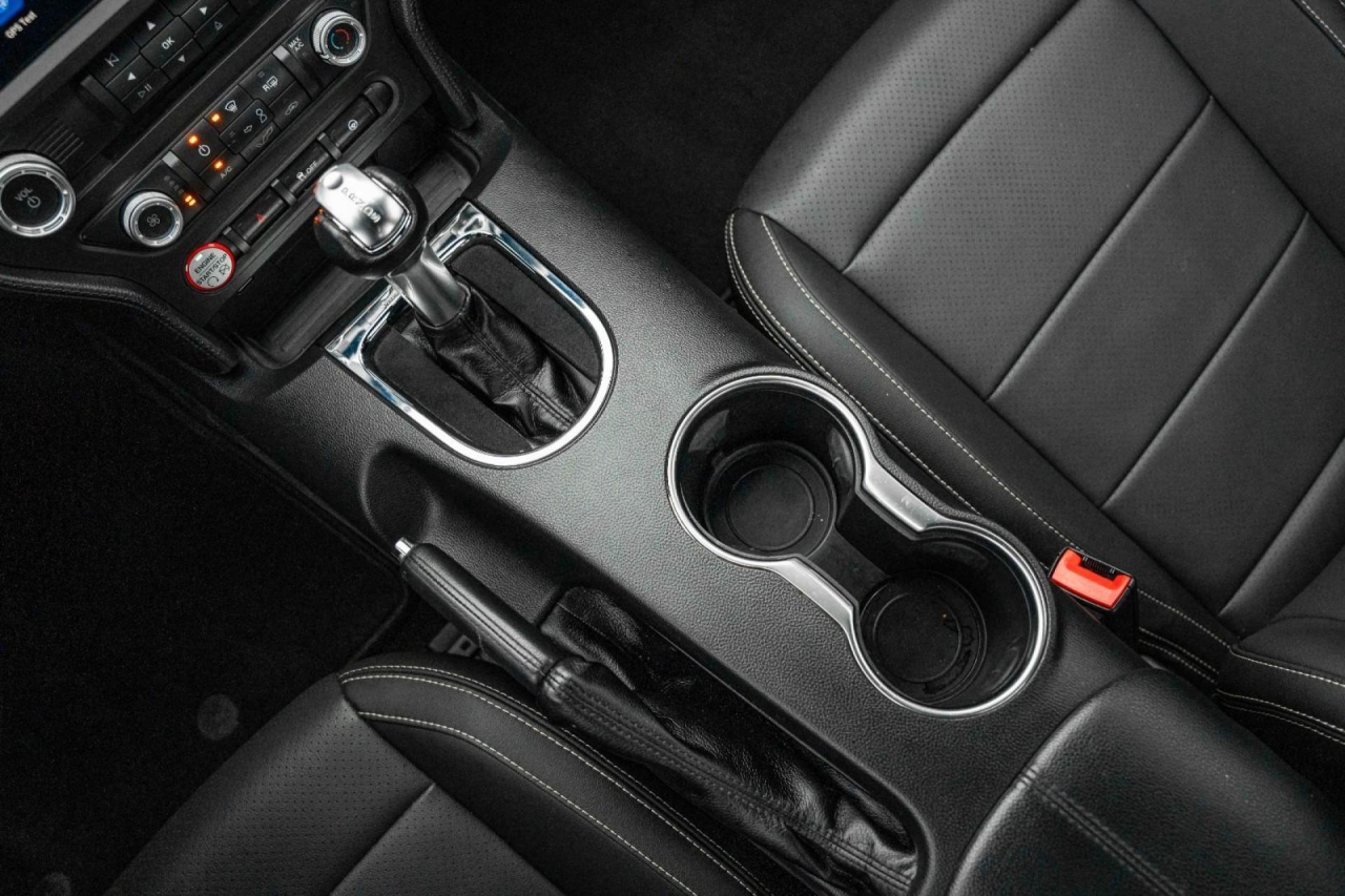 photo.jpg?1761576889