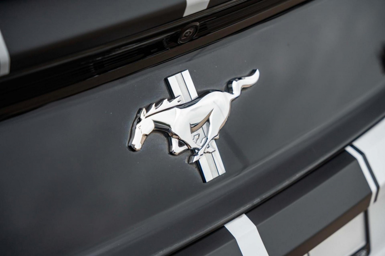 photo.jpg?1761576891