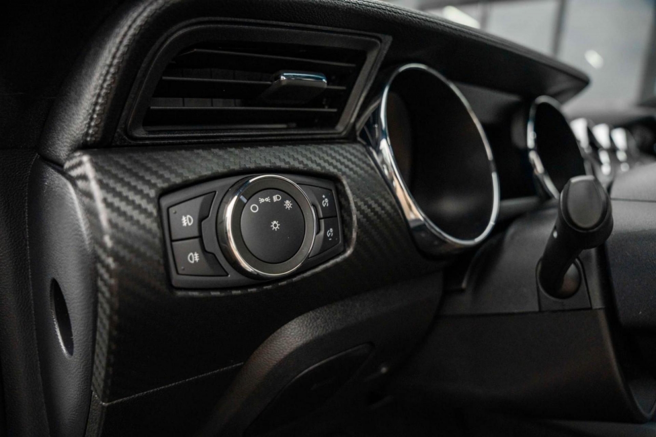 photo.jpg?1761576892