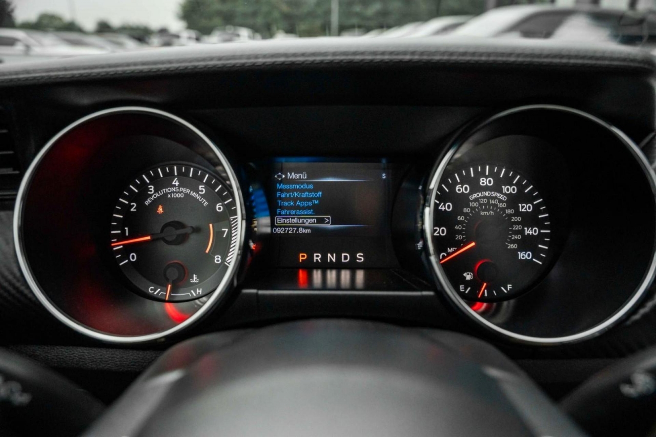 photo.jpg?1761576893